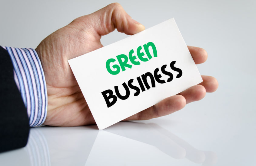Business e sostenibilità – 1^ parte